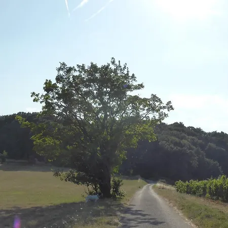 Prázdninový dům Chateau Chavagnac Gites Charmes-sur-Rhone