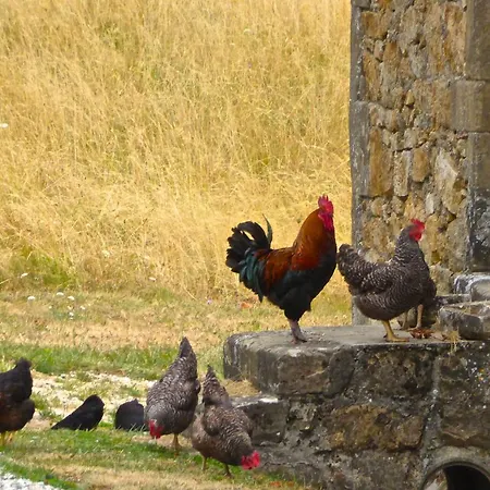 Prázdninový dům Chateau Chavagnac Gites *